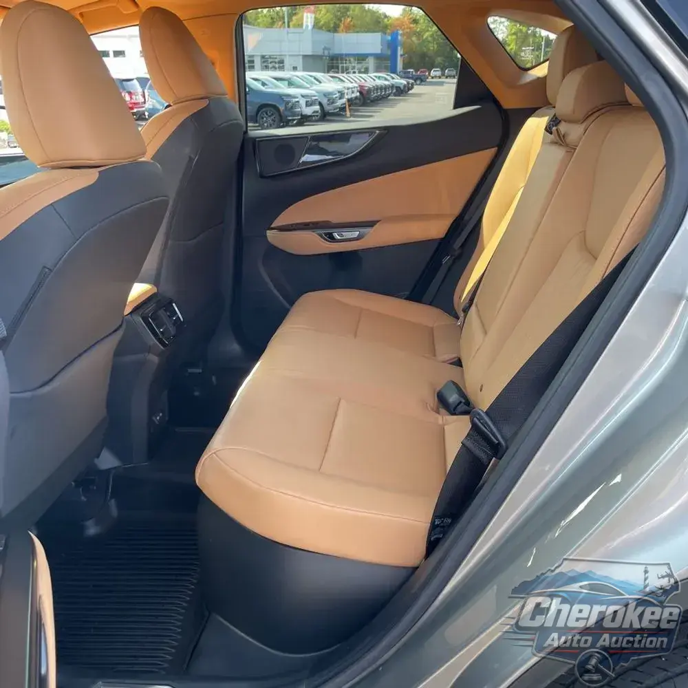 2024 Lexus NX 350h Premium