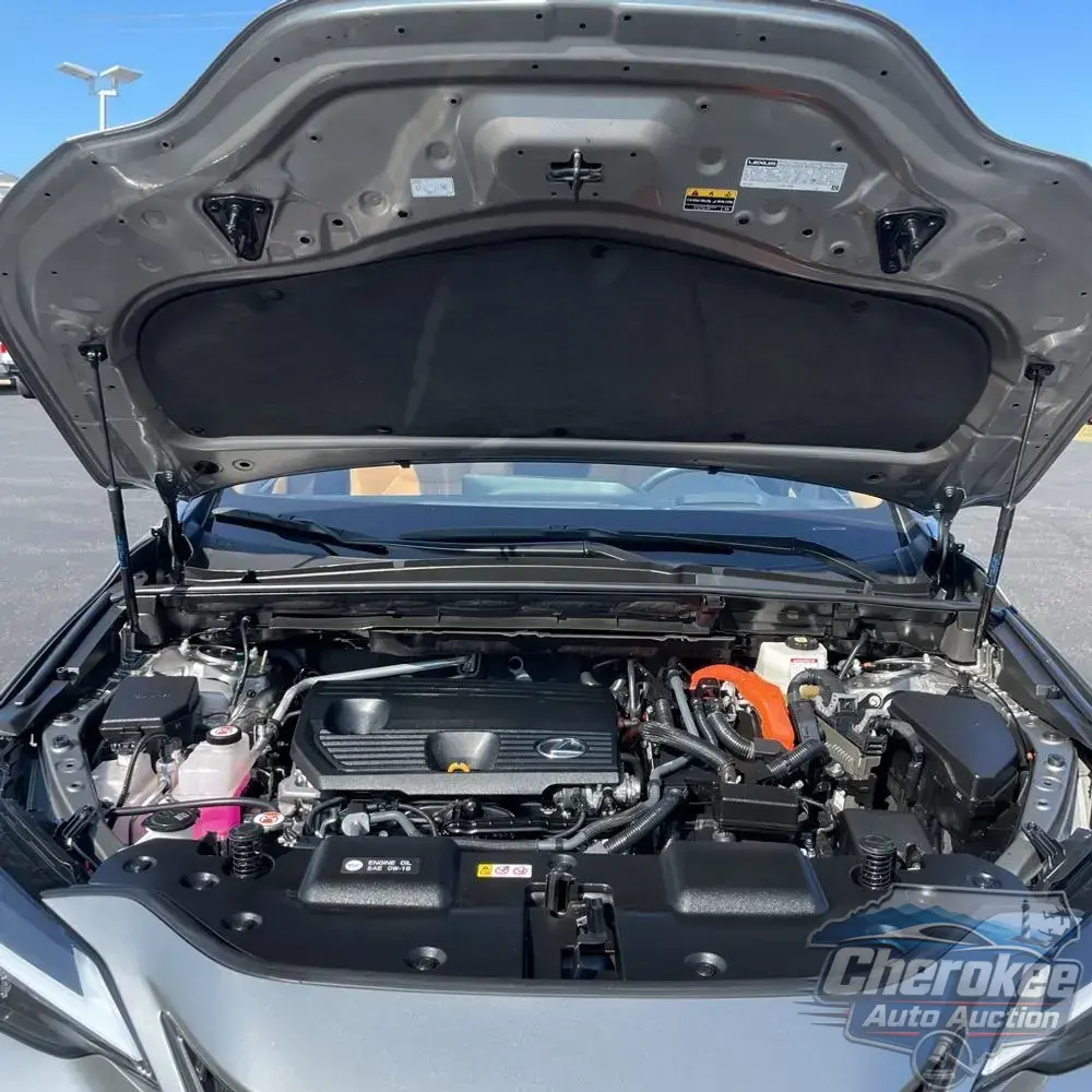 2024 Lexus NX 350h Premium