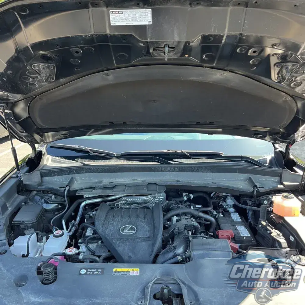 2024 Lexus TX 350 Premium