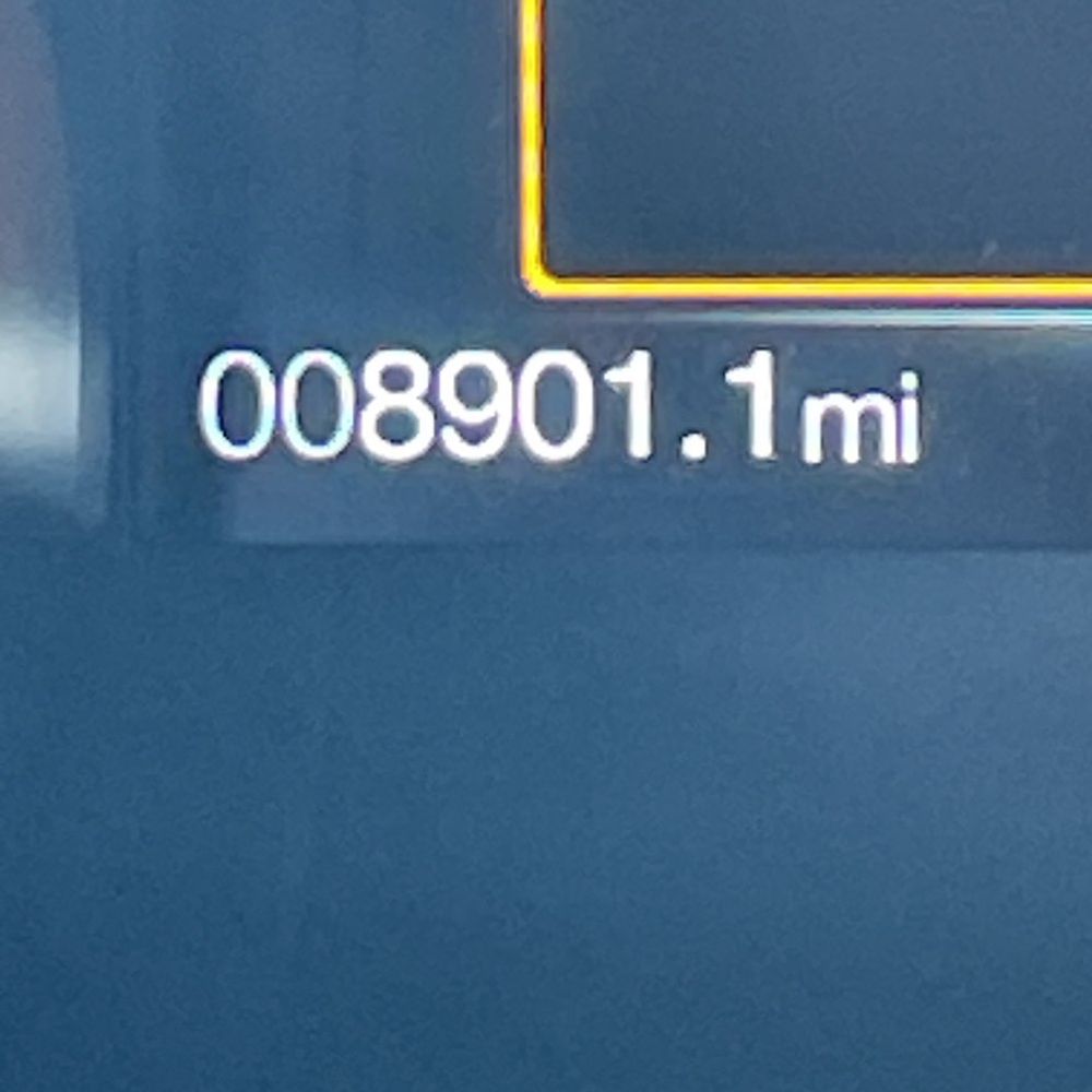 2019 Ford Mustang Shelby GT350
