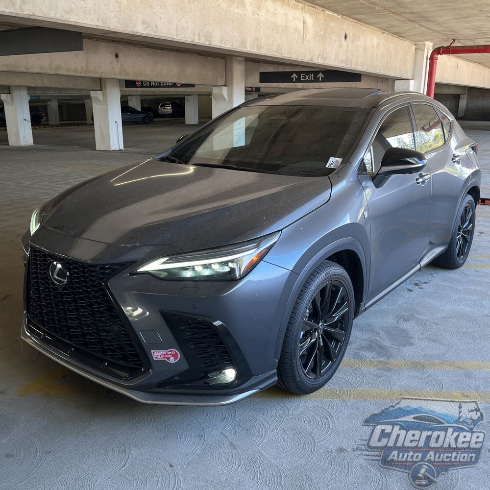 2024 Lexus NX 450h+ F SPORT Handling
