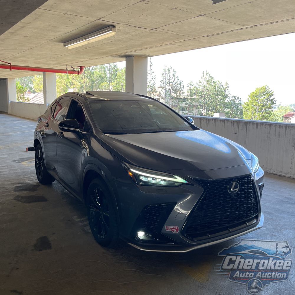 2024 Lexus NX 450h+ F SPORT Handling