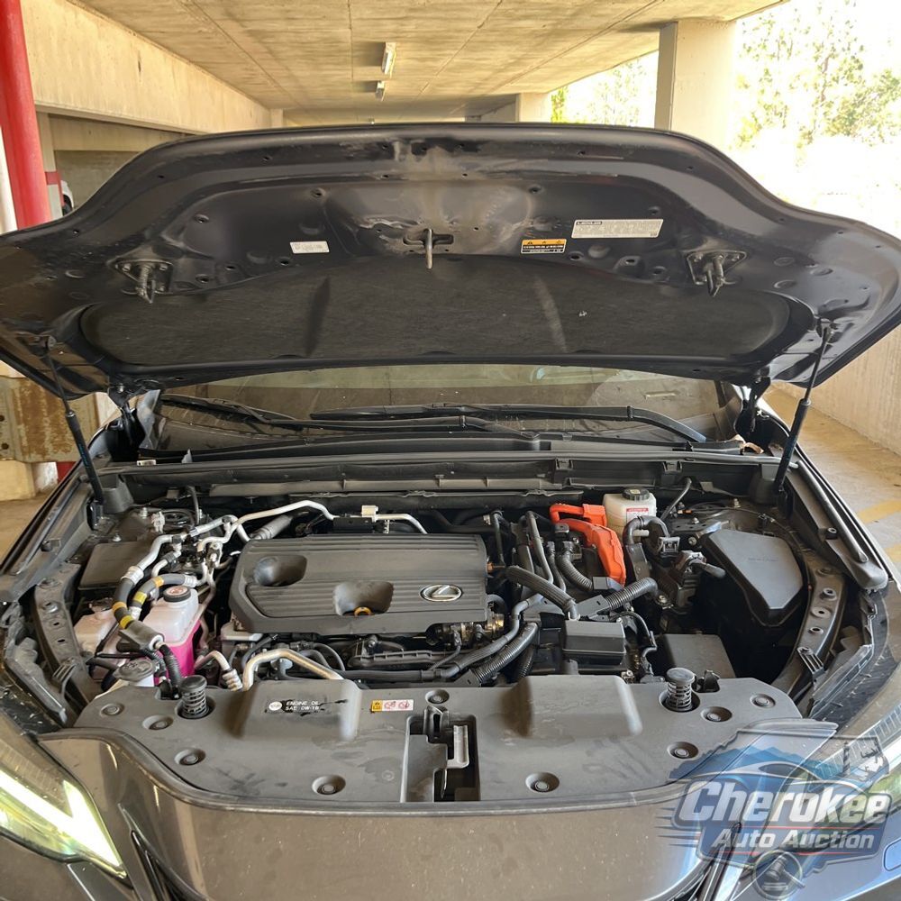 2024 Lexus NX 450h+ F SPORT Handling