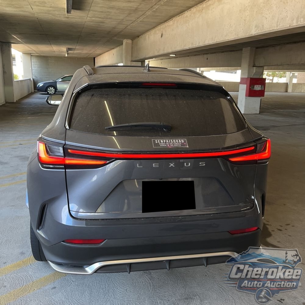 2024 Lexus NX 450h+ F SPORT Handling