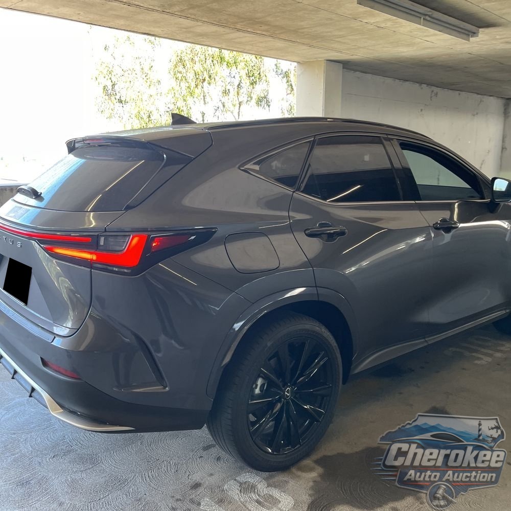 2024 Lexus NX 450h+ F SPORT Handling