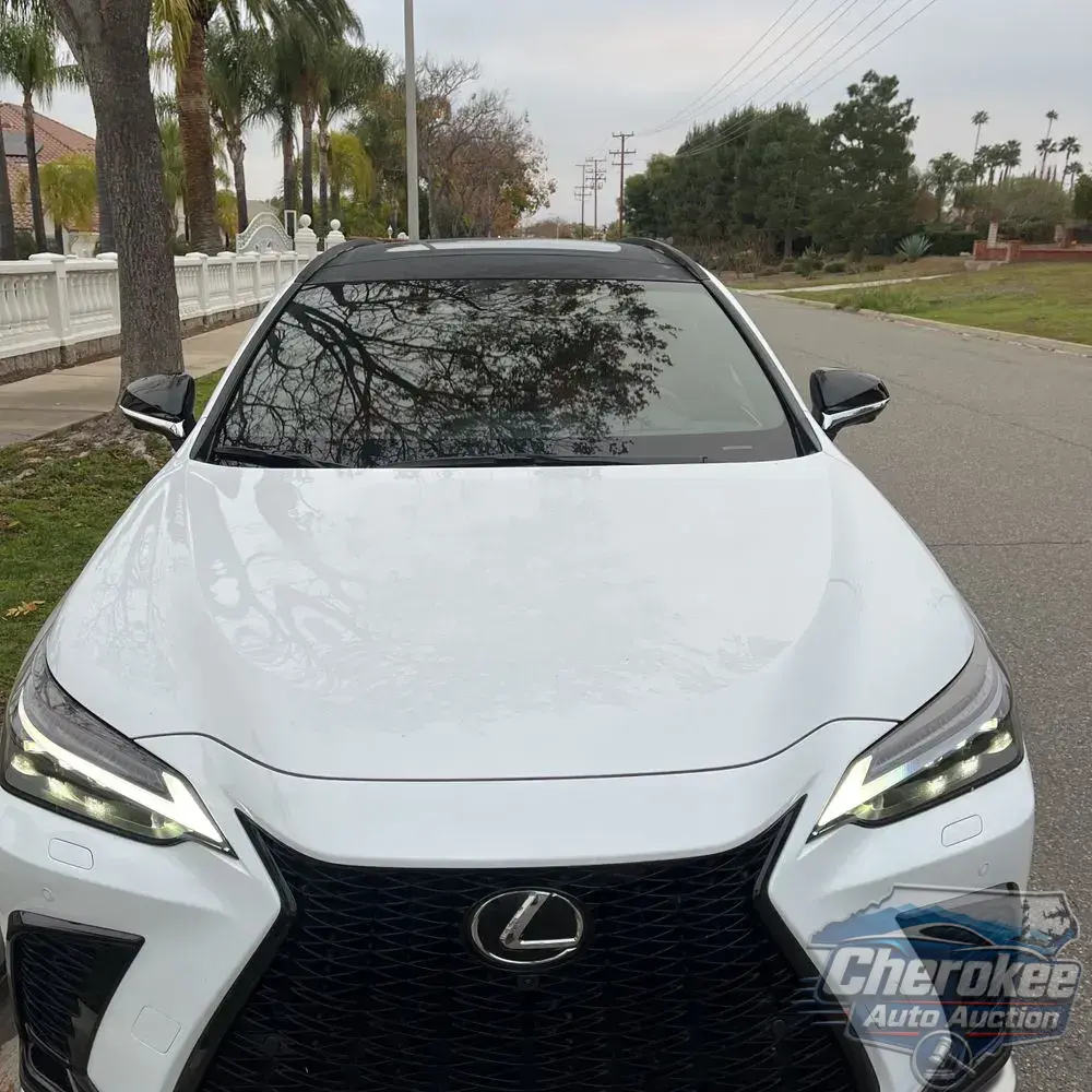 2025 Lexus NX 450h+ F SPORT Handling