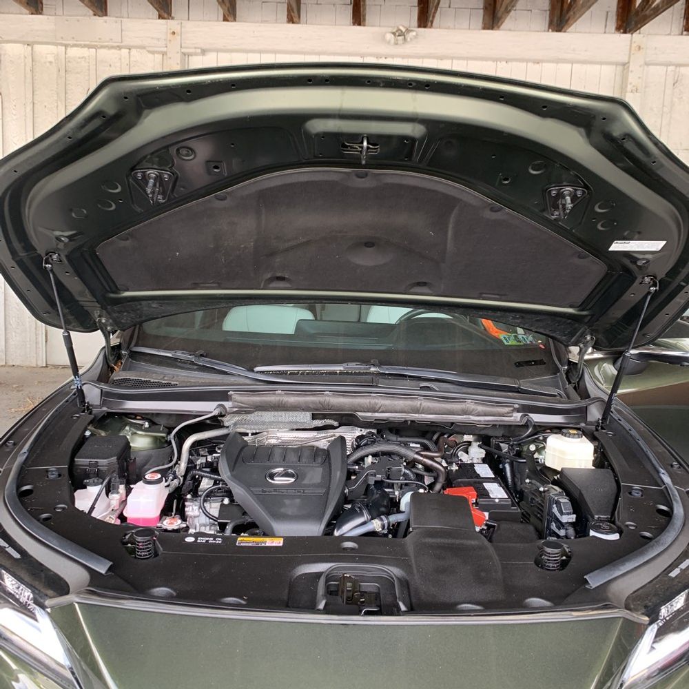 2024 Lexus RX 350 Premium+