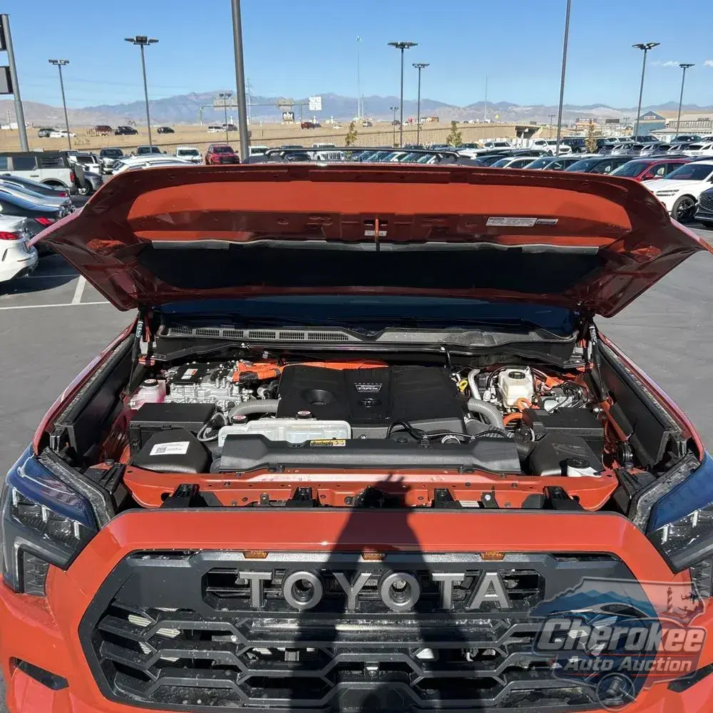 2024 Toyota Sequoia TRD Pro