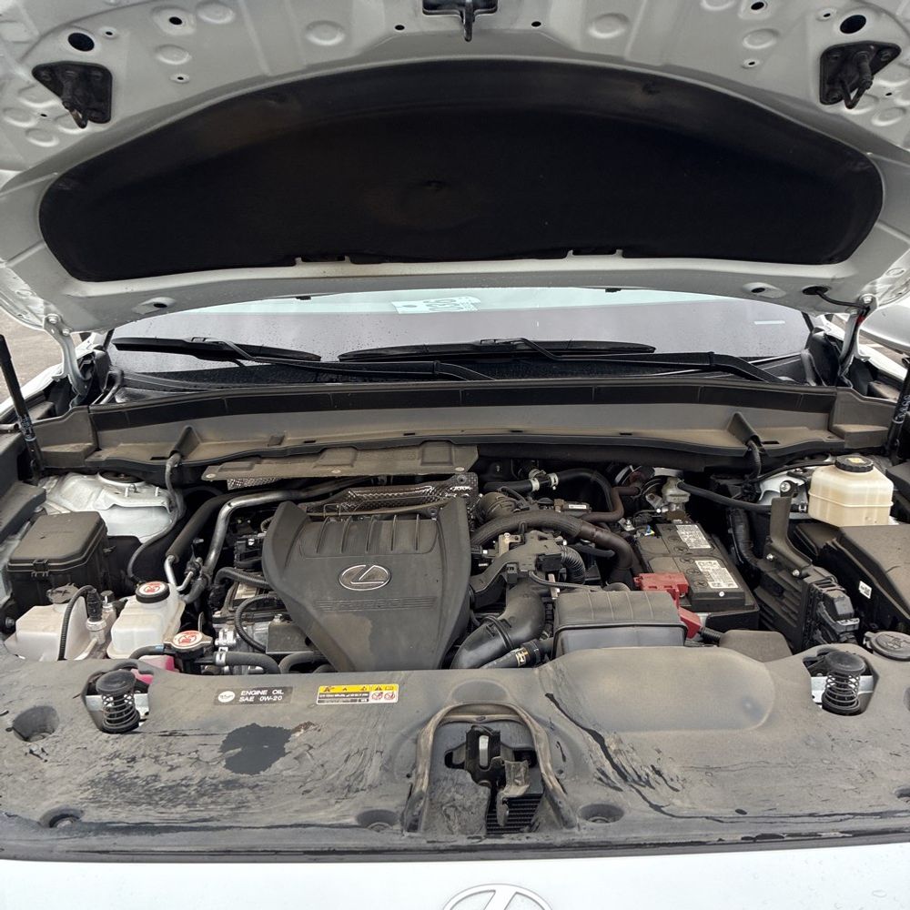 2024 Lexus TX 350 Premium