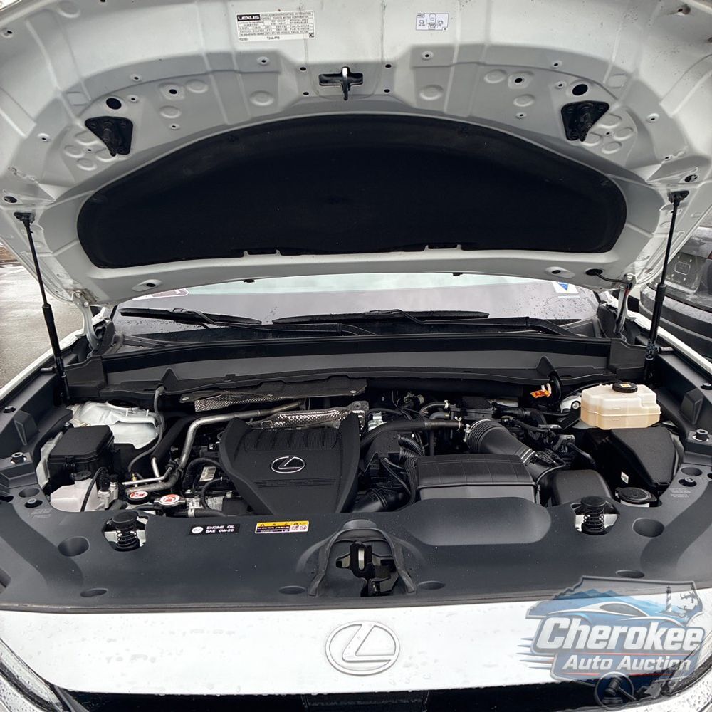2024 Lexus TX 500h F SPORT Performance Luxury