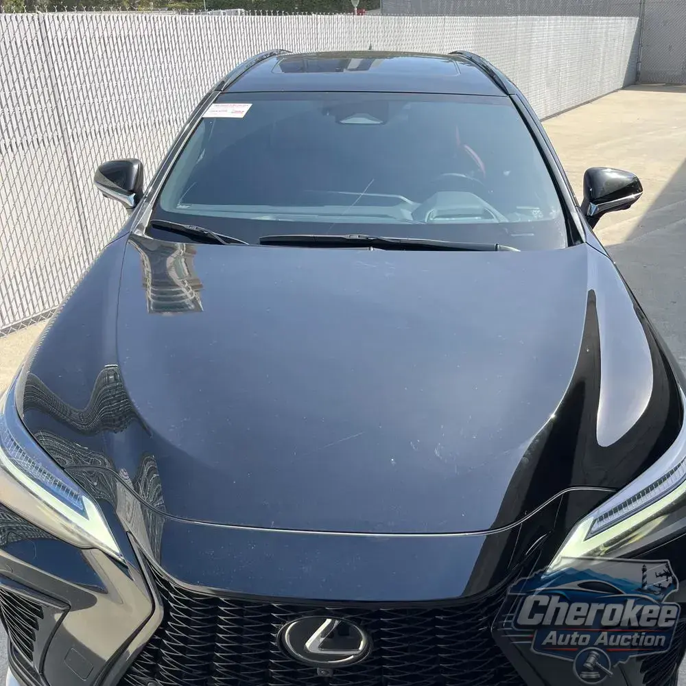 2024 Lexus NX 450h+ F SPORT Handling