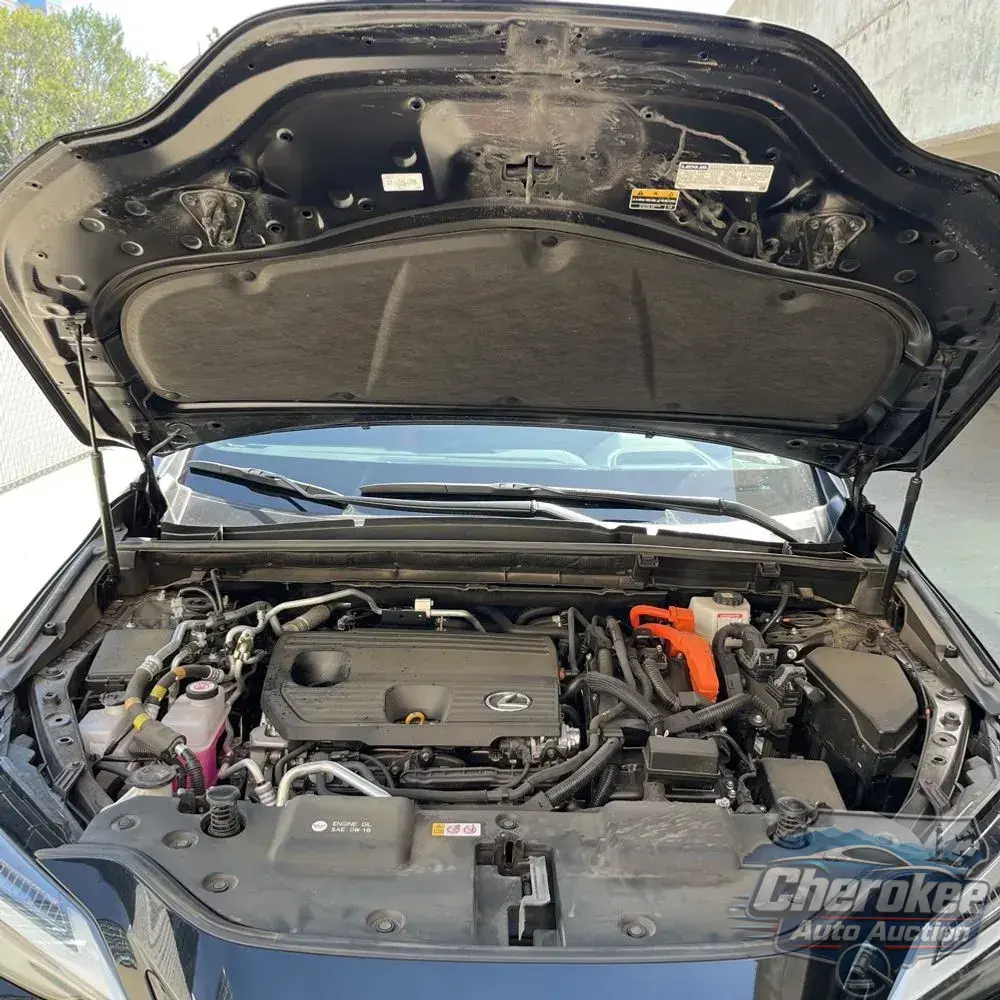 2024 Lexus NX 450h+ F SPORT Handling