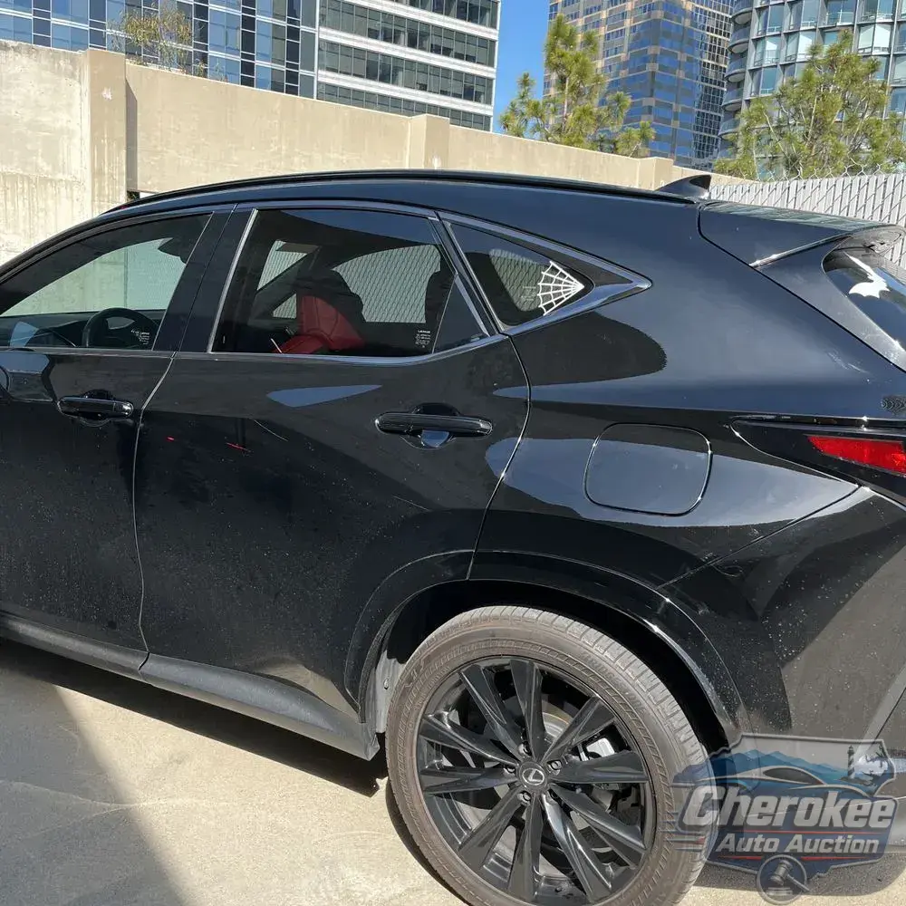 2024 Lexus NX 450h+ F SPORT Handling