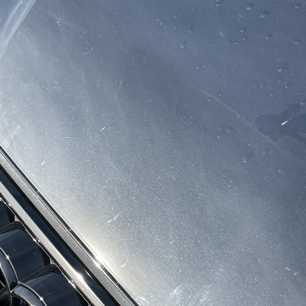 2025 Audi S5 Premium Plus