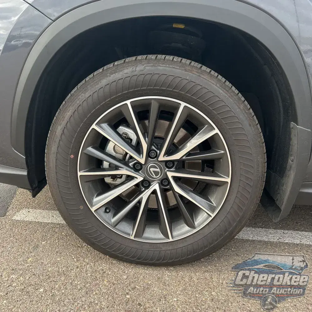2025 Lexus NX 350h Premium