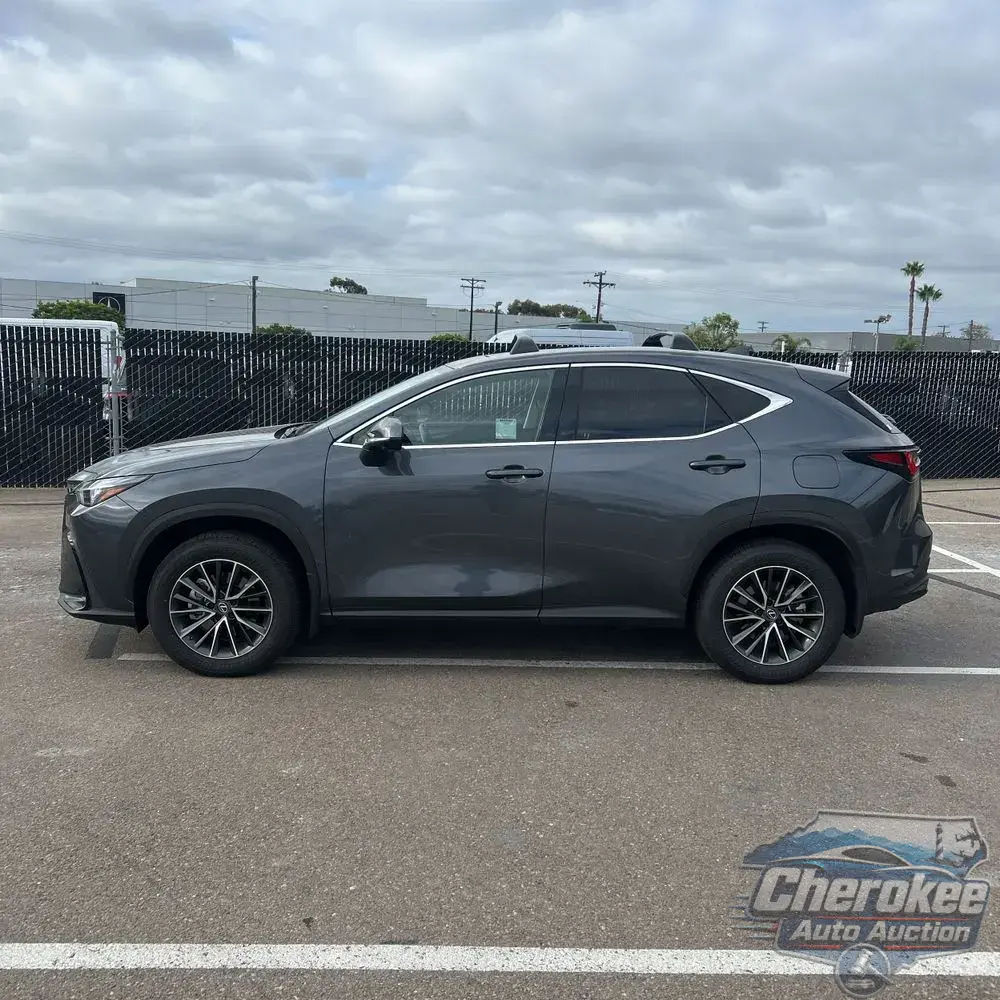 2025 Lexus NX 350h Premium