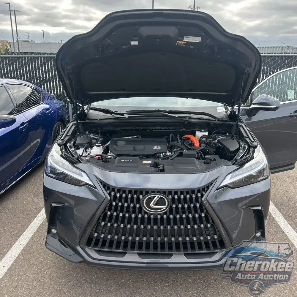 2025 Lexus NX 350h Premium