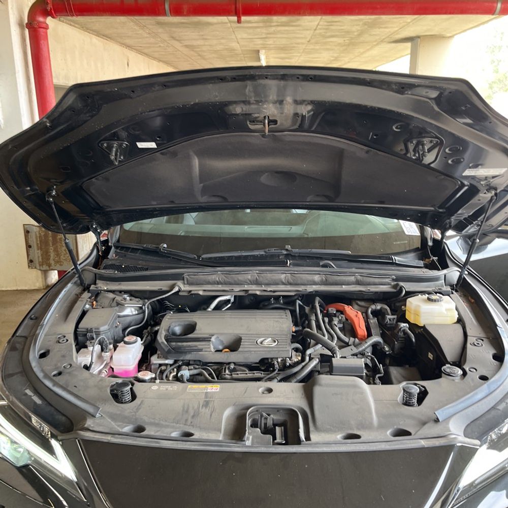 2023 Lexus RX 350h Premium+