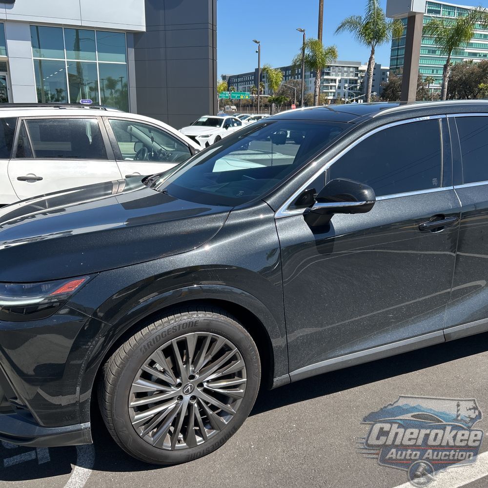 2024 Lexus RX 450h+ Luxury