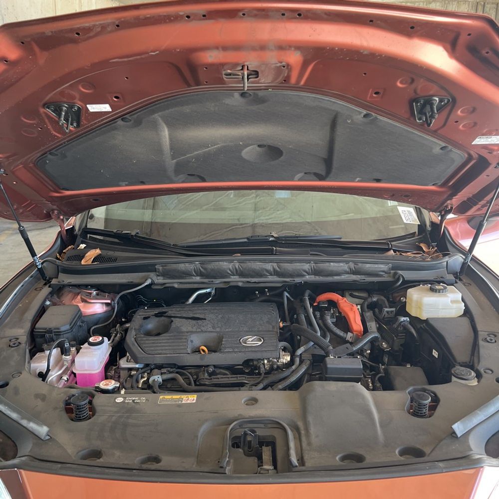 2023 Lexus RX 350h Premium+