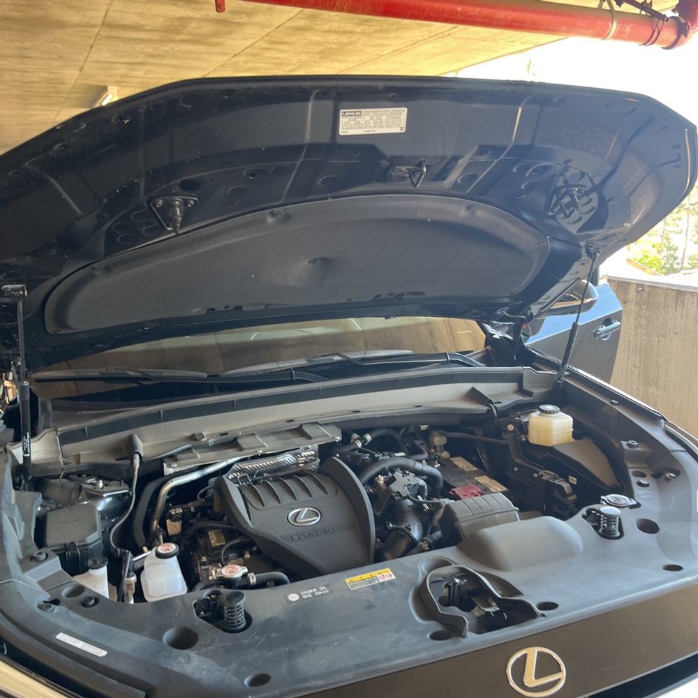 2024 Lexus TX 350 Premium