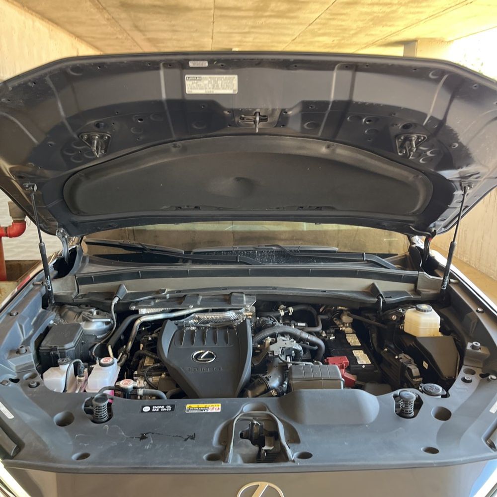 2024 Lexus TX 350 Base
