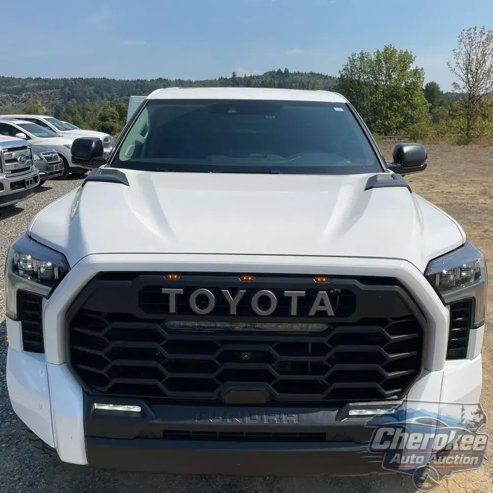 2022 Toyota Tundra TRD Pro HV