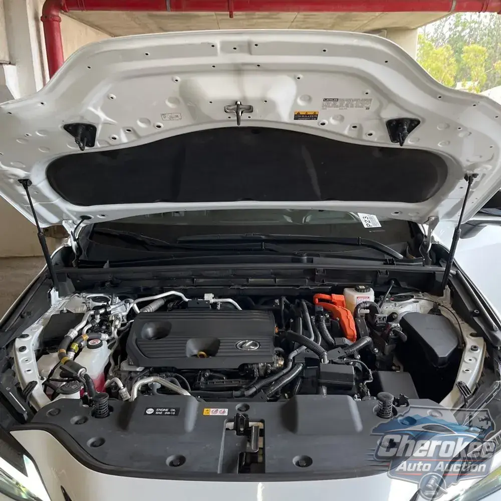 2024 Lexus NX 450h+ F SPORT Handling