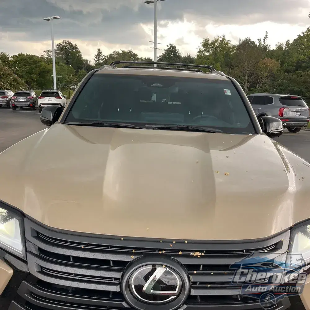 2025 Lexus LX 700h Overtrail