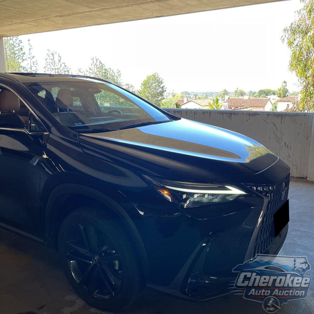 2023 Lexus NX 450h+ Base