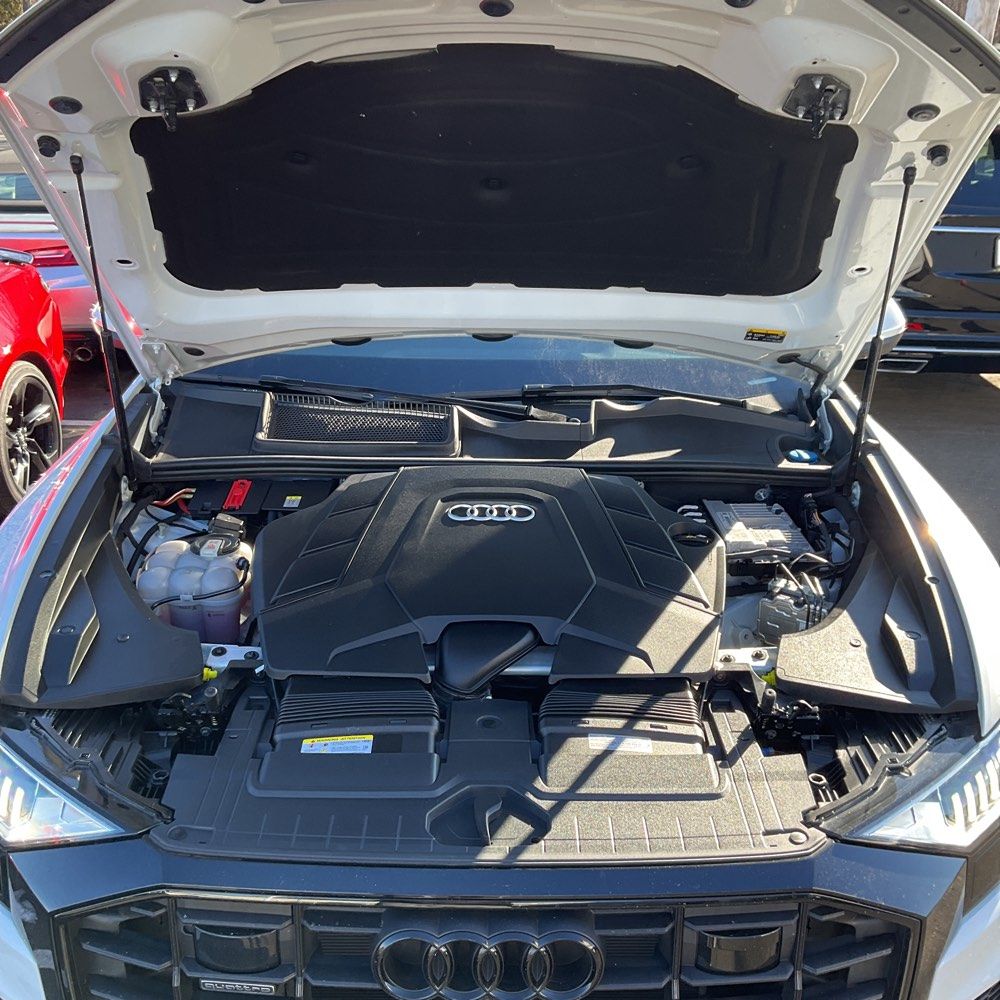 2023 Audi Q8 Premium Plus 55 TFSI