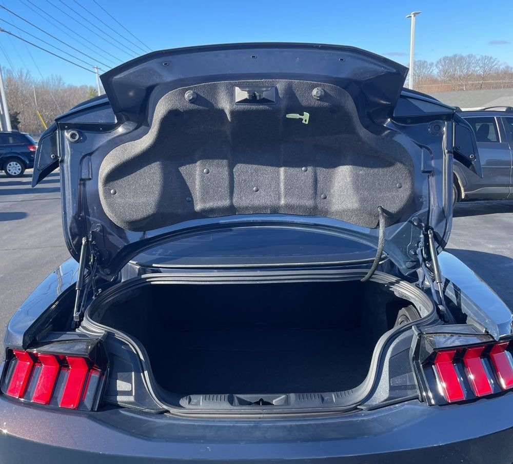 2024 Ford Mustang Dark Horse