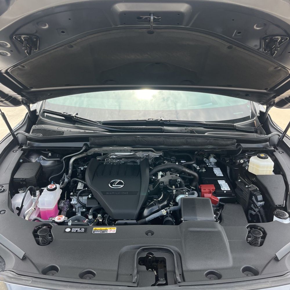 2024 Lexus RX 350 Premium+
