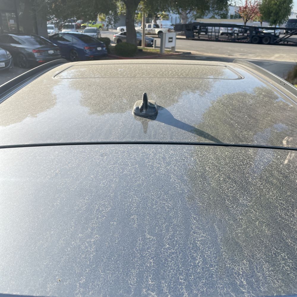 2021 Audi SQ8 Premium Plus