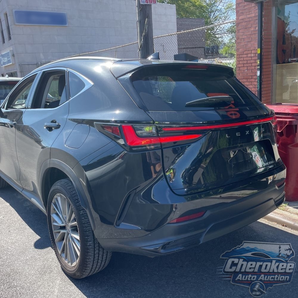 2023 Lexus NX 350 Luxury